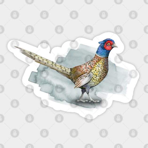 Common pheasant Sticker by Bwiselizzy